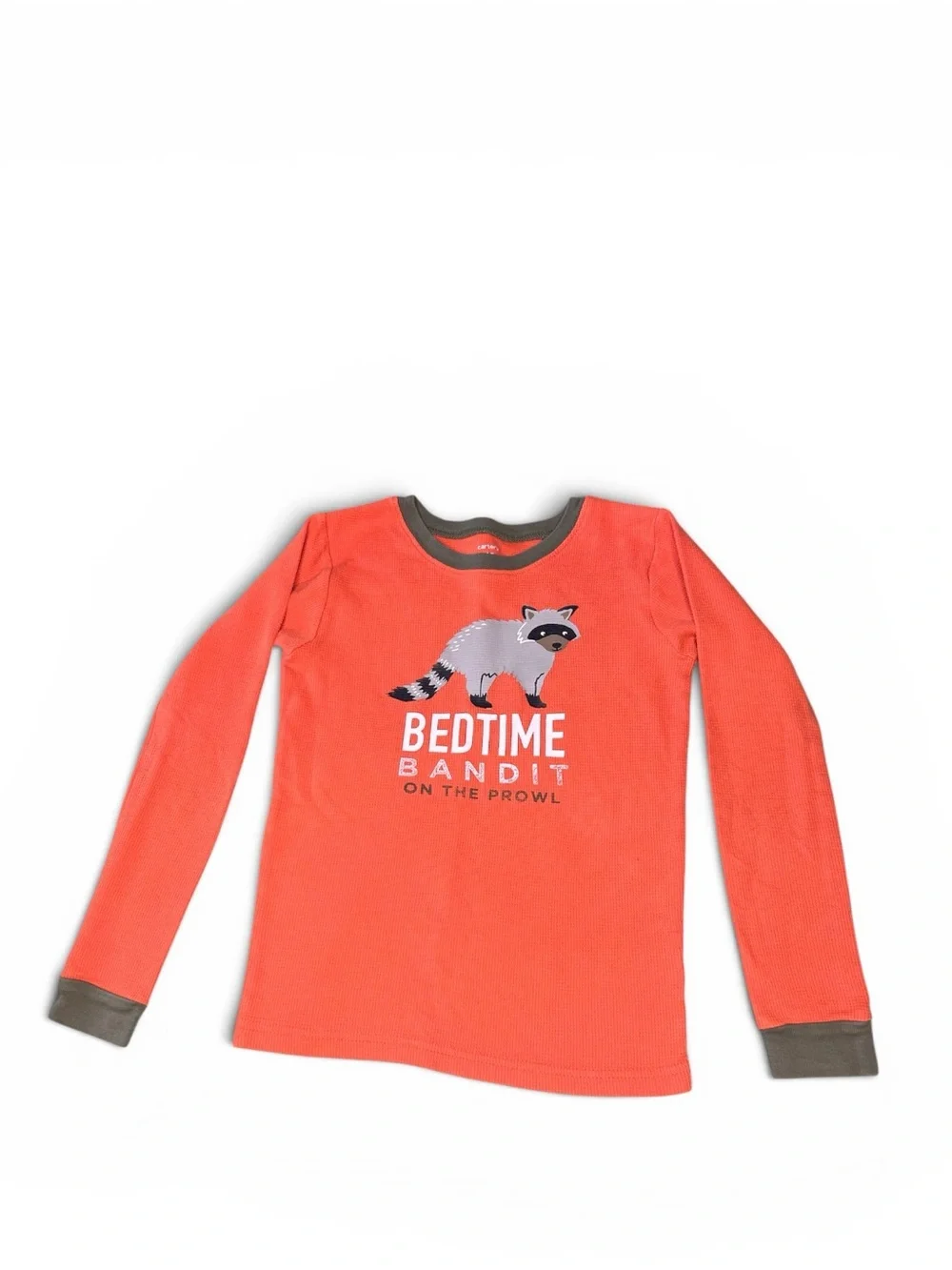 Carter’s 2-Piece Pajama Set Bedtime Bandit Raccoon Woodland Animals Size 10
